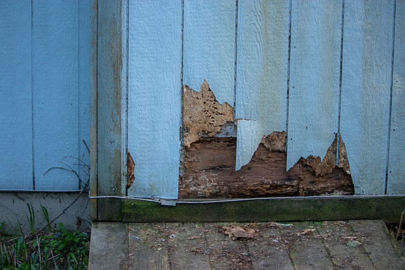 Cladding Repair detail