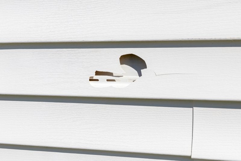 Cladding Repair detail