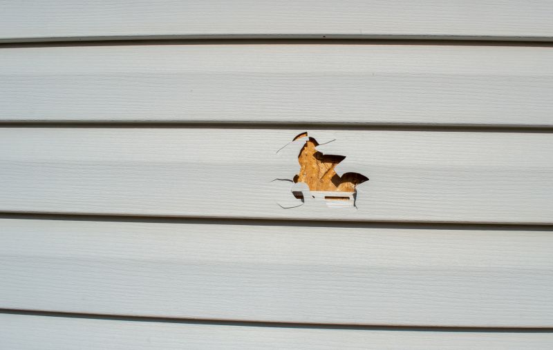 Cladding Repair detail