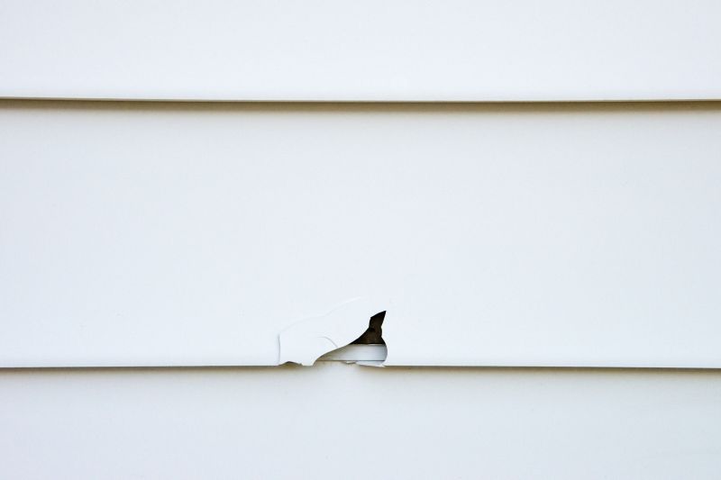 Cladding Repair detail