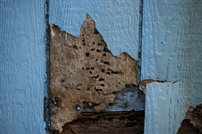 Home Siding Repair detail