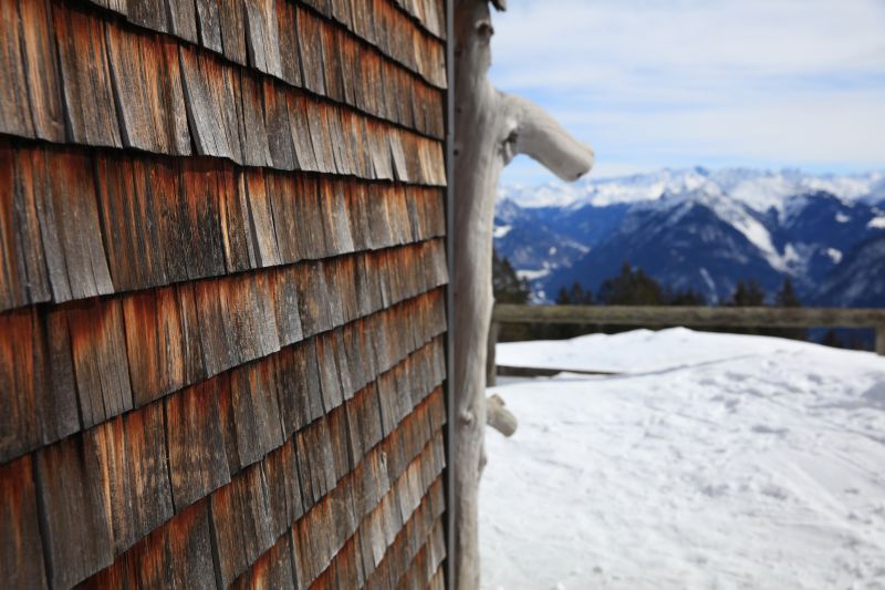 Shiplap Siding Repair detail