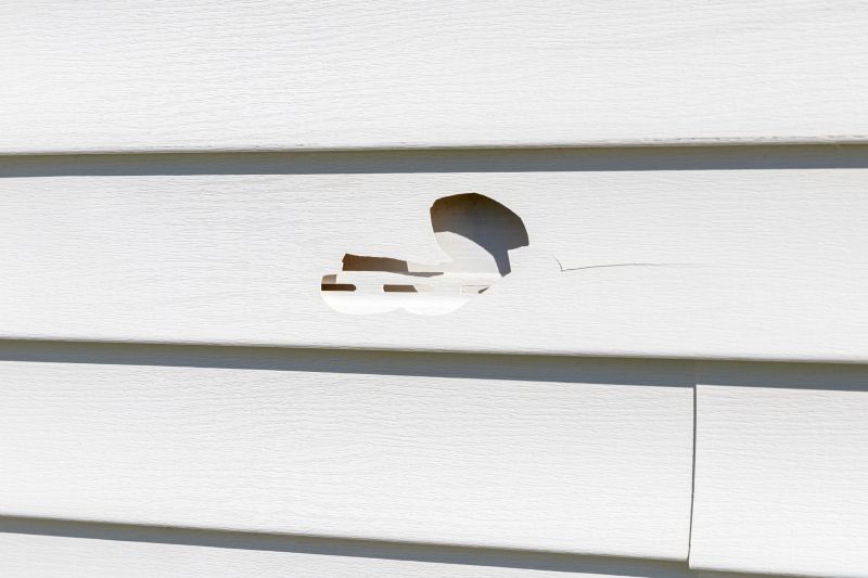 Vinyl Cladding Repair detail