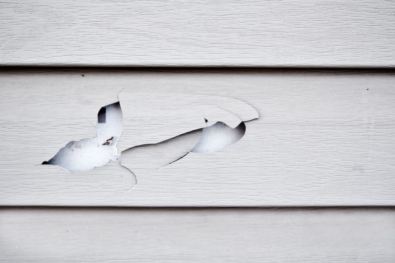 Vinyl Siding Repair detail